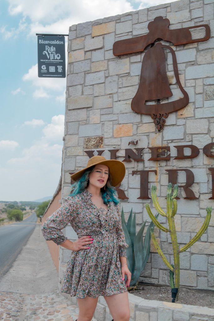 vinedo patria vertical 1 683x1024