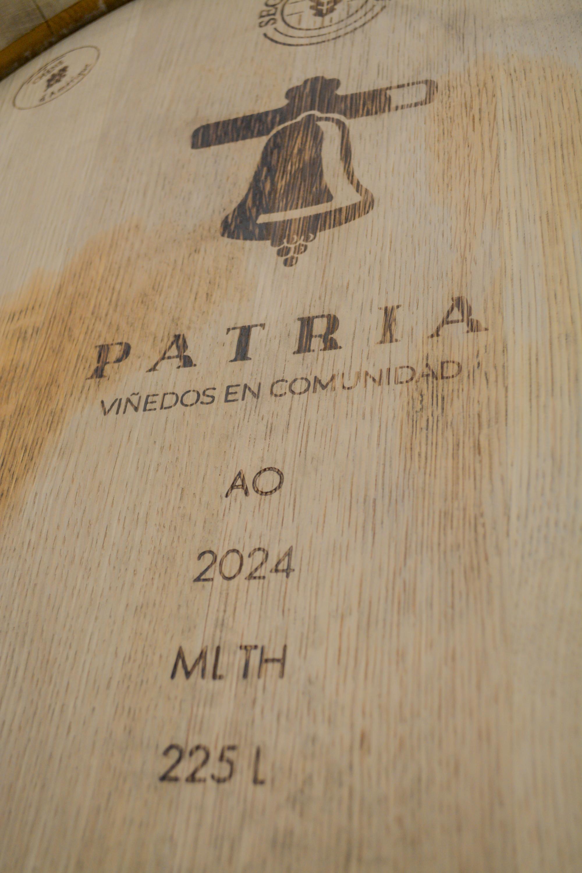 vinedo patria vertical 14
