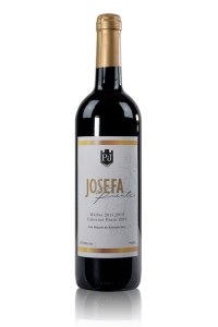 vinedo puente josefa malbec cab franc t 200x300