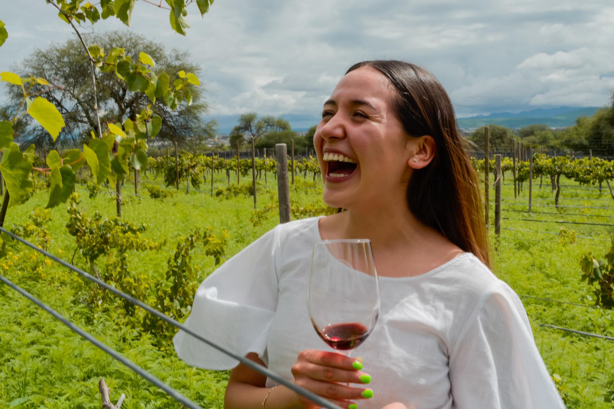 vinedo san bernardino horizontal 50