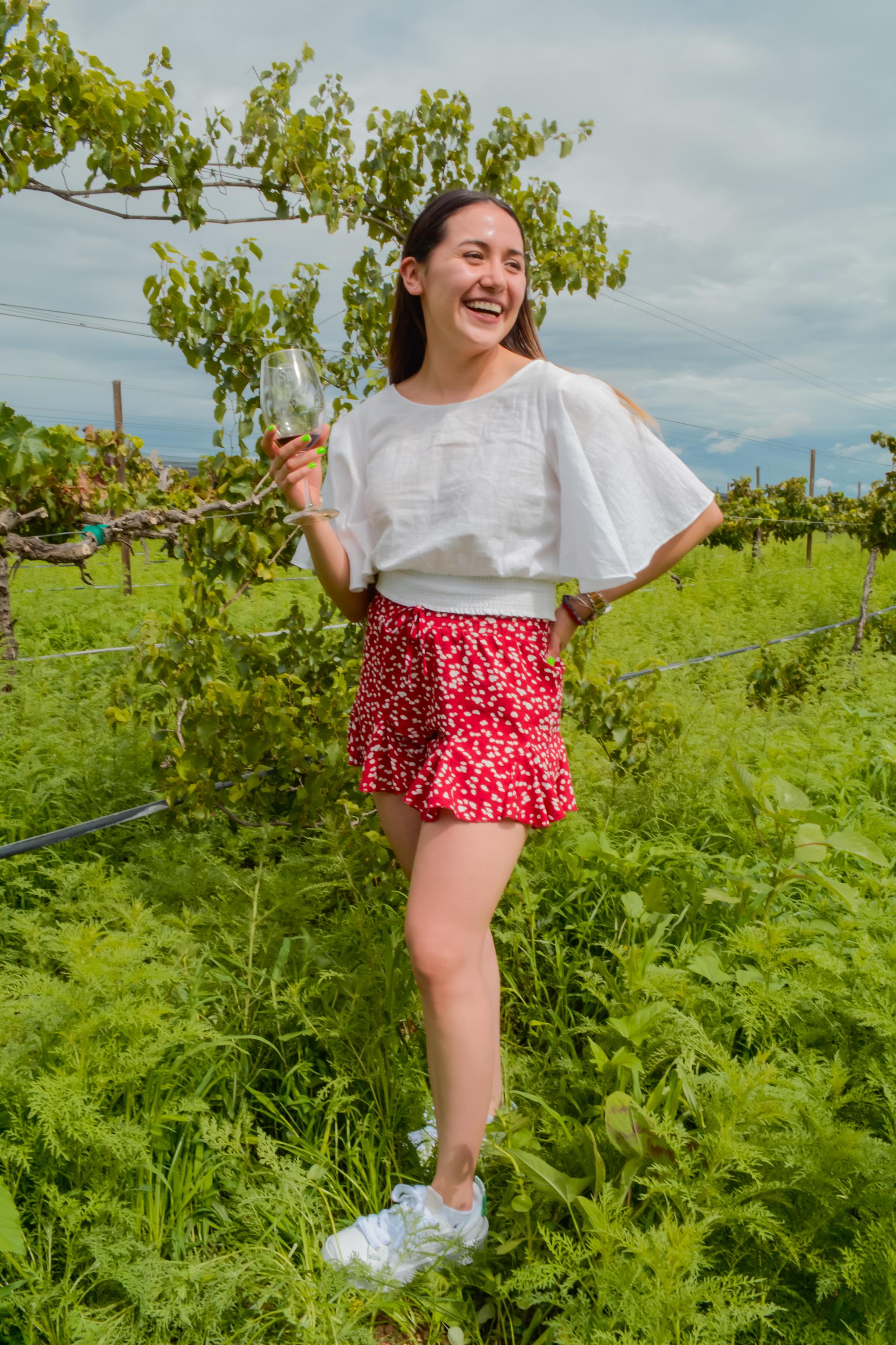 vinedo san bernardino vertical 104