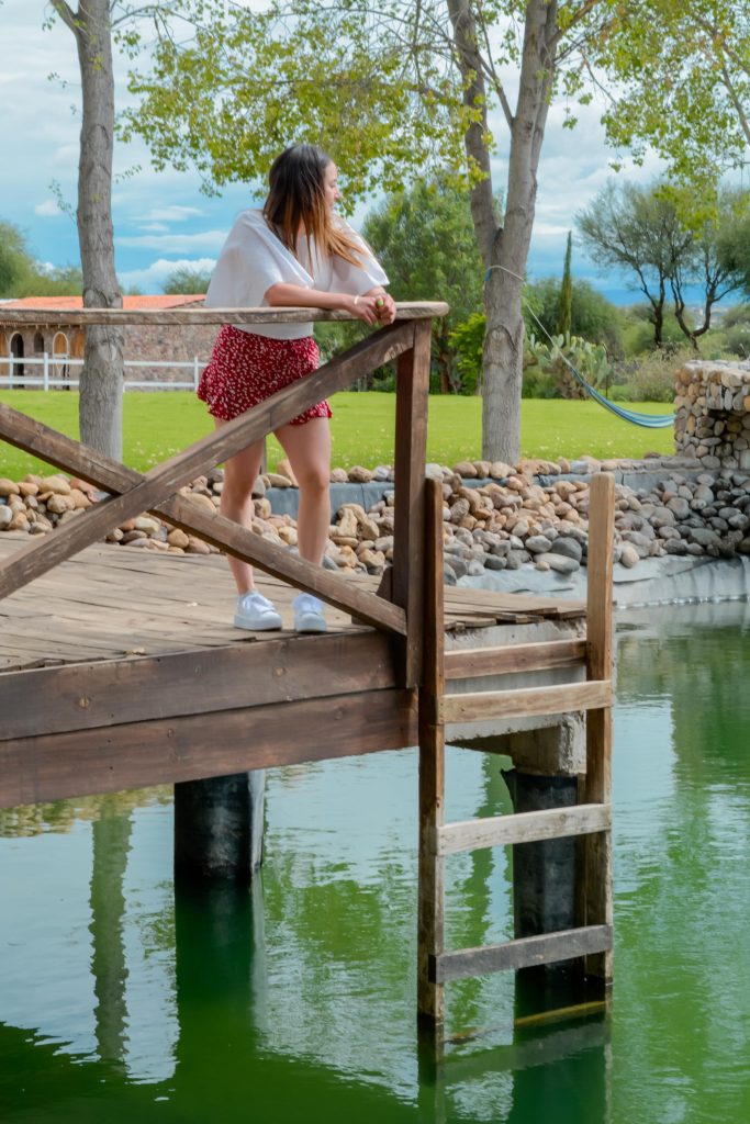 vinedo san bernardino vertical 110 683x1024