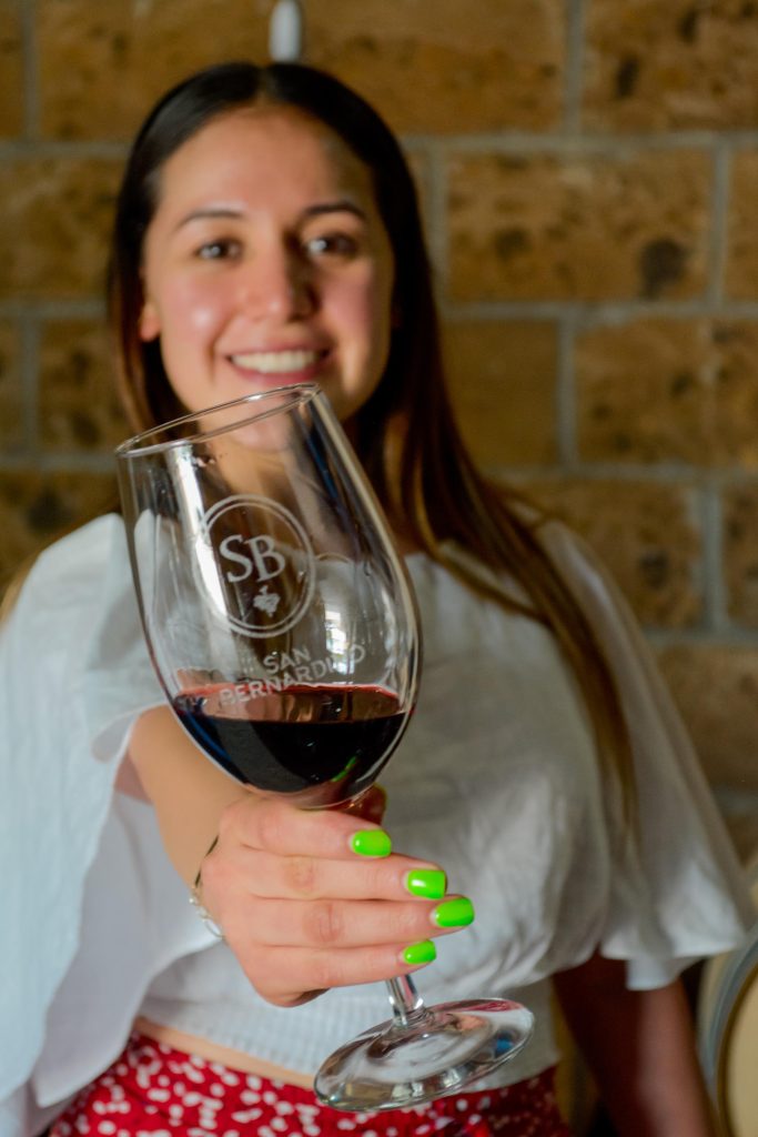 vinedo san bernardino vertical 84 683x1024