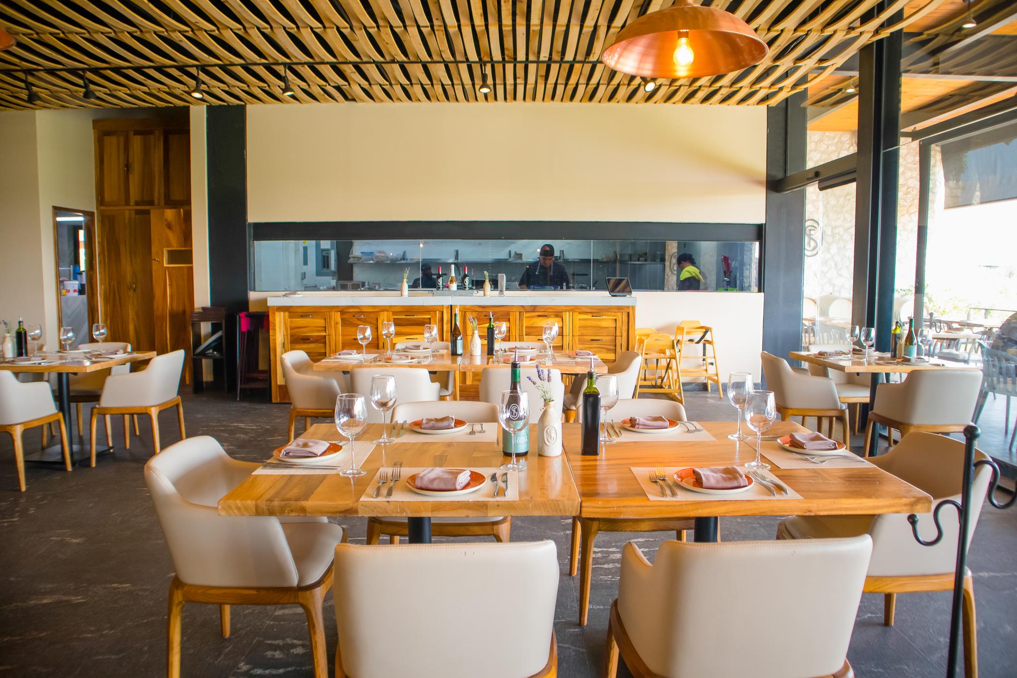 vinedo san francisco horizontal 4