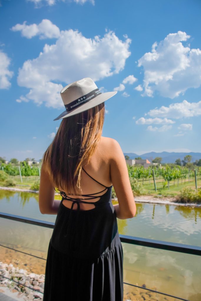 vinedo san francisco vertical 55 683x1024