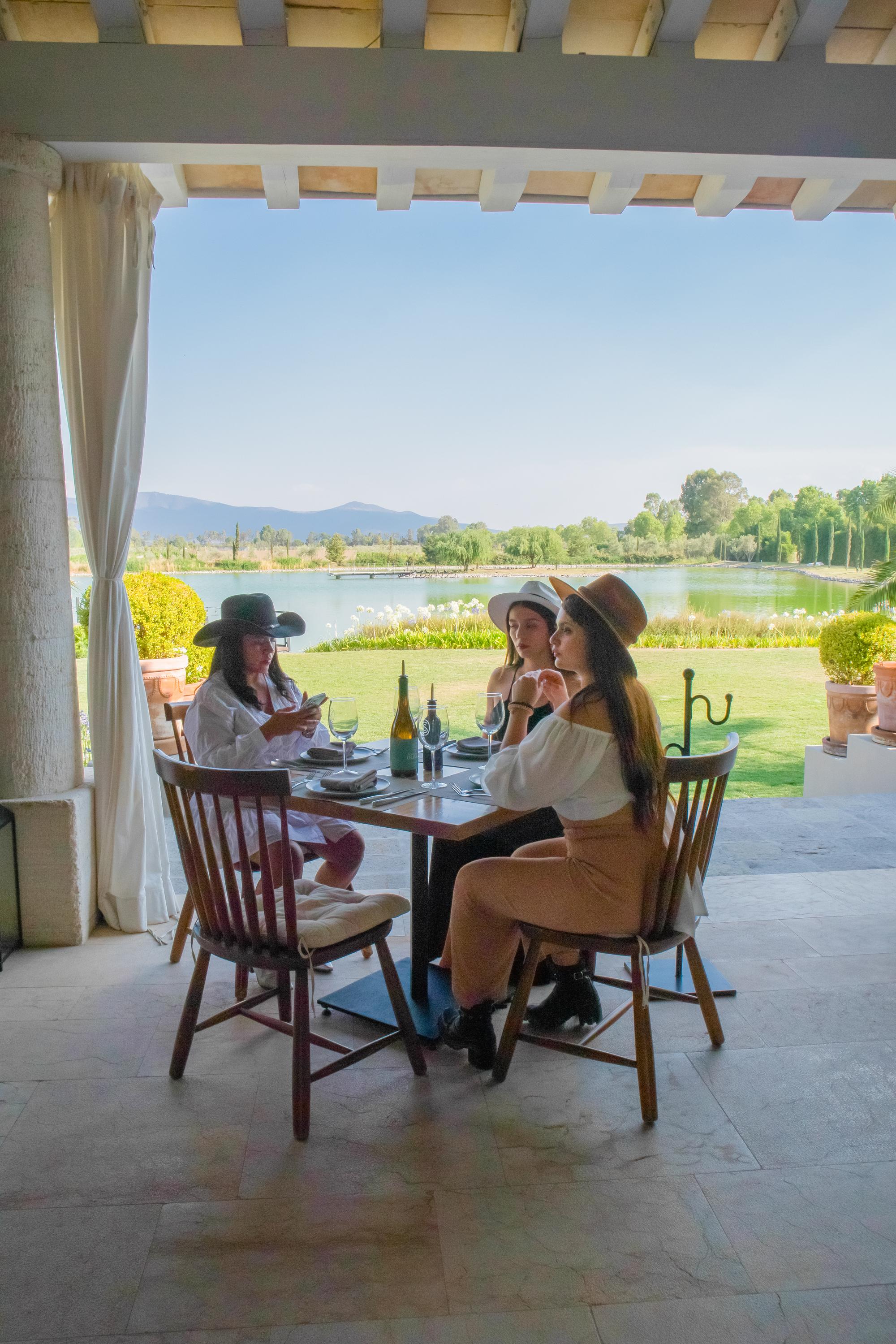 vinedo santa catalina vertical 39