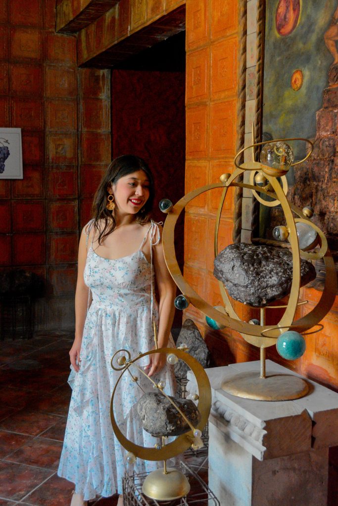 vinedo toyan vertical 15 683x1024