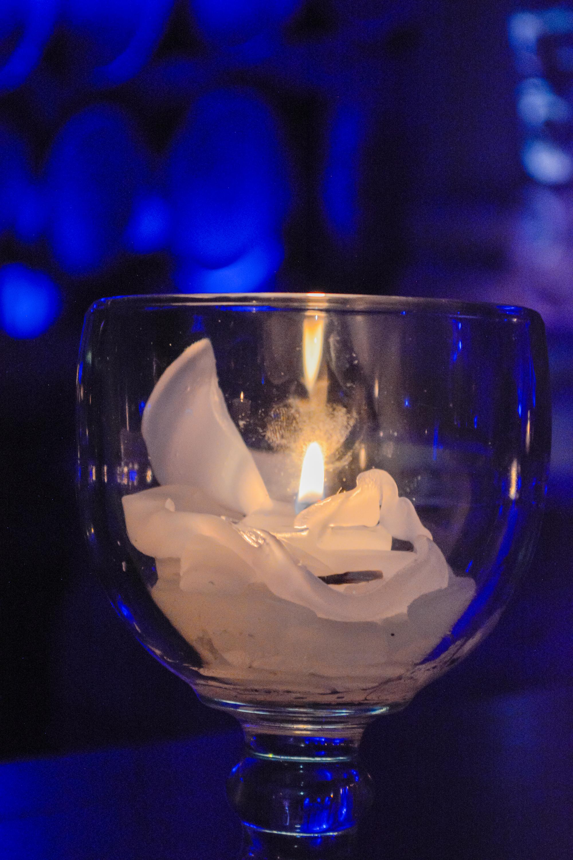 vinedo toyan vertical 23