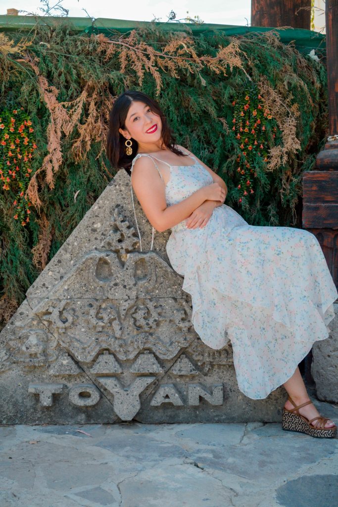 vinedo toyan vertical 3 683x1024