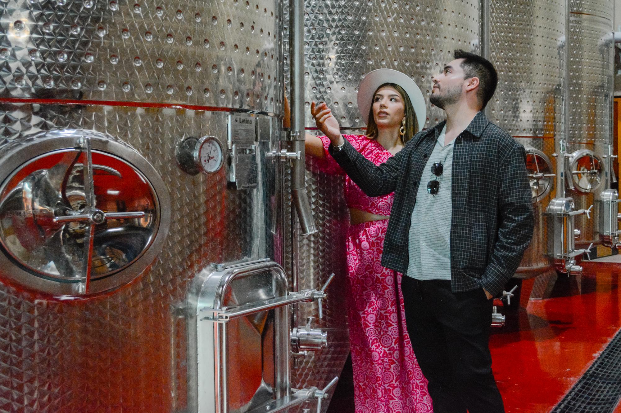 vinedo tres raices horizontal 41